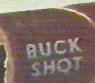buck shot
